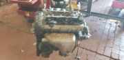 Motor ohne Anbauteile (Benzin) BCA 170555km VW NEW BEETLE (9C1, 1C1) 1.4 55 KW 036100034R