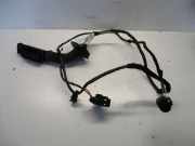 Kabelbaum Tür Recht Hinten SEAT IBIZA V (6J5) 1.2 51 KW 6J4971161M