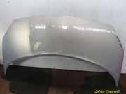 Motorhaube Farbton MV 632 Kratzer und Steinschläge siehe Bild RENAULT SCENIC II (JM0/1_) 1.9 DCI 88 KW 52171