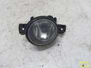 Nebelscheinwerfer links RENAULT LAGUNA II GRANDTOUR (KG0/1_) 1.9 DCI 79 KW 8200002469