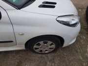 Kotflügel rechts Weiss Blancaise EWP PEUGEOT 206 (T3E) 1.1 44 KW 7841Z5