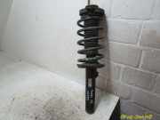 Federbein rechts vorn VW CADDY III KOMBI (2KB, 2KJ, 2CB, 2CJ) 1.9 77 KW 1T0413031GB
