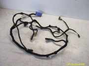 Kabelbaum Tür Links Vorne AUDI A6 (4F2, C6) 3.0 TDI QUATTRO 165 KW 4F1971035C