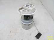 Kraftstoffpumpe Benzin PEUGEOT 206 (T3E) 1,1 44 KW 9642124080C 0973200990304