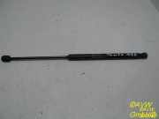 Gasdruckfeder hinten FIAT PUNTO (188) 1.2 60 (188.030, .050, .130, 44 KW