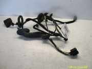 Kabelbaum Tür Hinten Rechts VOLVO V50 (MW) 1.6 D 81 KW 30786442-AB 30786442