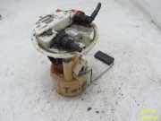 Kraftstoffpumpe Benzin RENAULT TWINGO (C06_) 1,2 43 KW 0974-066-9900