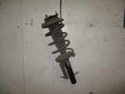 Federbein rechts vorn FORD FOCUS (DAW, DBW) 1.6 16V 74 KW AG-18045-AK