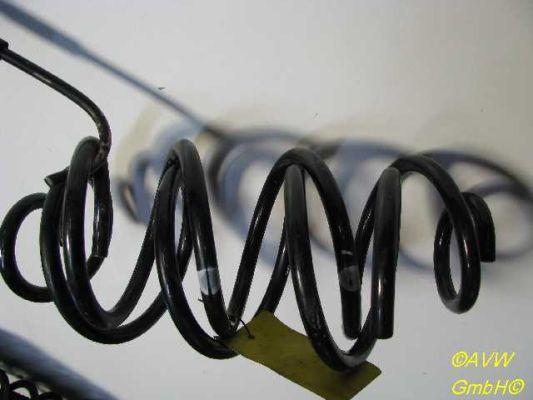 Feder links hinten hinten NISSAN MICRA IV (K13) 1.2 59 KW Bild Feder links hinten hinten NISSAN MICRA IV (K13) 1.2 59 KW