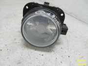 Nebelscheinwerfer links vorn Verblasst siehe Bild CITROEN XSARA PICASSO (N68) 1.8 16V 85 KW 9638225680