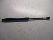 Gasdruckfeder hinten RENAULT TWINGO II (CN0_) 1.2 16V 55 KW 8200385560 282160003R