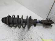 Federbein rechts vorn CHEVROLET AVEO SCHRÄGHECK (T250, T255) 1.2 62 KW 50669