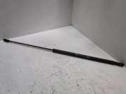 Gasdruckfeder Heckklappe SEAT IBIZA I (021A) 0.9 32 KW 655708 0260N