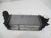 Ladeluftkühler CITROEN C4 I (LC_) 1.6 HDI 80 KW 9646694680