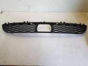 Kühlergittereinsatz orginal BMW, neuwertig BMW 5 (G30) 520D 140 KW 51118064931