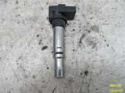 Zündspule VW POLO (9N_) 1.2 12V 47 KW 0040102030