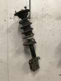 Federbein rechts vorn MITSUBISHI COLT VI (Z3_A, Z2_A) 1.1 55 KW 8249025000482