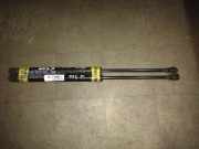 Gasdruckfeder/Heckklappe CHEVROLET MATIZ (M200, M250) 0.8 38 KW 82553891300