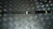 Gasdruckfeder/Heckklappe Kombi 2 St. FORD FOCUS 74 KW XS41N406A10AH