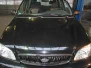 Motorhaube Kia Carnival UP