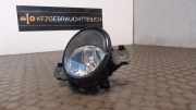 Nebelscheinwerfer Rechts Renault Laguna G 8200002470