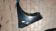 Kotflügel Links Hyundai I 10 PA