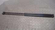 Heckklappendämpferpaar Ford Focus DA3/DB3 4M51N406A10AC