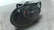 Nebelscheinwerfer Links VW Passat 3C/3CC