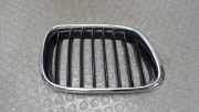 Niere Rechts / K�hlergrill Rechts BMW X 5 E53
