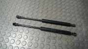 Motorhaubend�mpfer BMW 3er E46 8202688