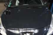 Motorhaube Peugeot 206 2KFX/2NFZ/
