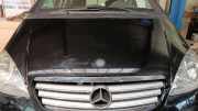 Motorhaube Mercedes-benz A-klasse 169
