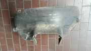Radhausschale / Innenkotfl�gel Links Fiat Idea 350