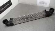 Ladeluftkühler Mercedes-benz E-klasse 211 A2115003902