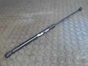 Haubendämpfer VW Lupo 6 X