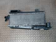 Ladeluftkühler Peugeot 405 4B/4E 50277557