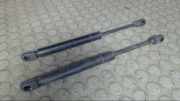 Heckklappendämpferpaar VW Polo 6 N/6 KV