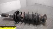 Federbein Vorn Links ( 4X4) Ford Sierra Gbc/gbg/bnc/bng