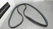 T�rdichtung Vorn Links VW Fox 5 Z