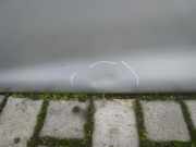 TÜR Vorne Links V L Mitsubishi Space Gear PAO