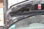 Motorhaube Renault Modus P