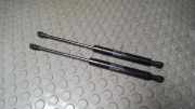 Haubend�mpfer BMW 5er E39