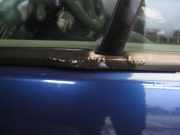 TÜR Vorne Links Renault Megane DA, BA, LA, KA, EA