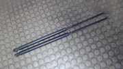 Haubendämpferpaar Citroen C 5 D6FZ/DRFN/DRLZ/DXFX/DRHZ/D4HX 9628059280