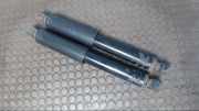 Stossdämpferpaar Hinten Peugeot Boxer 244 1347238080