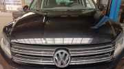 Motorhaube VW Tiguan 5N