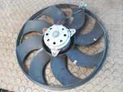 Elektrolüfter Ford Focus DA3/DB3