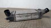 Ladeluftkühler Peugeot 407 6RFN/66FY/66FZ/6RFJ/63FZ/63FY/6XFV/69HZ/ 9645682880