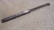 Heckklapend�mpferpaar Hinten Fiat Bravo 198