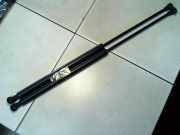 Haubend�mpfer Citroen C 5 D6FZ/DRFN/DRLZ/DXFX/DRHZ/D4HX